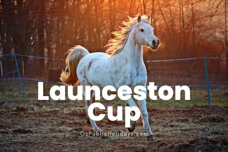 Launceston Cup