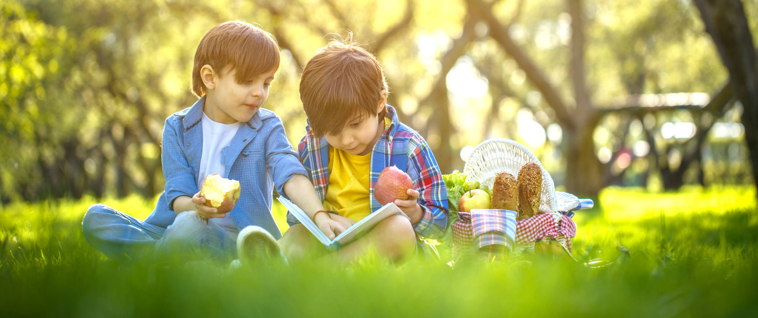 VIC School Holidays 2022 Oz Public Holidays